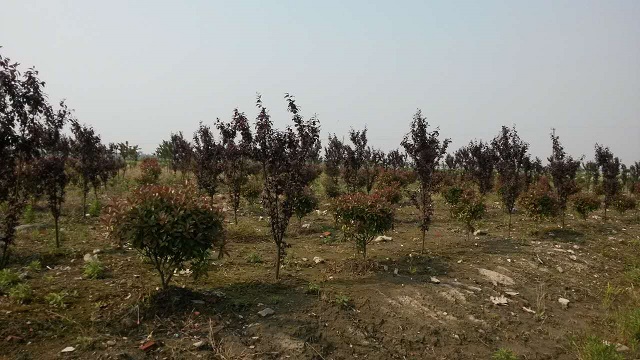 園區基地展示(2)